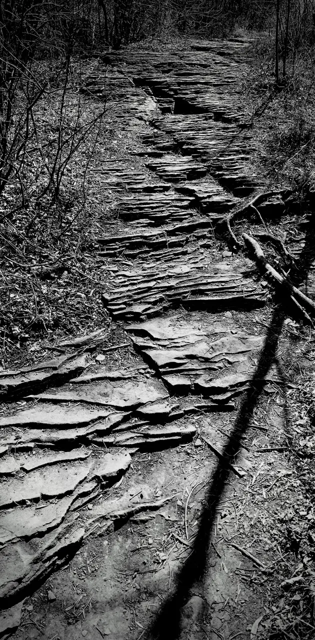 Stone steps wallpaper by DeafeningWill - Download on ZEDGE™ | 5283