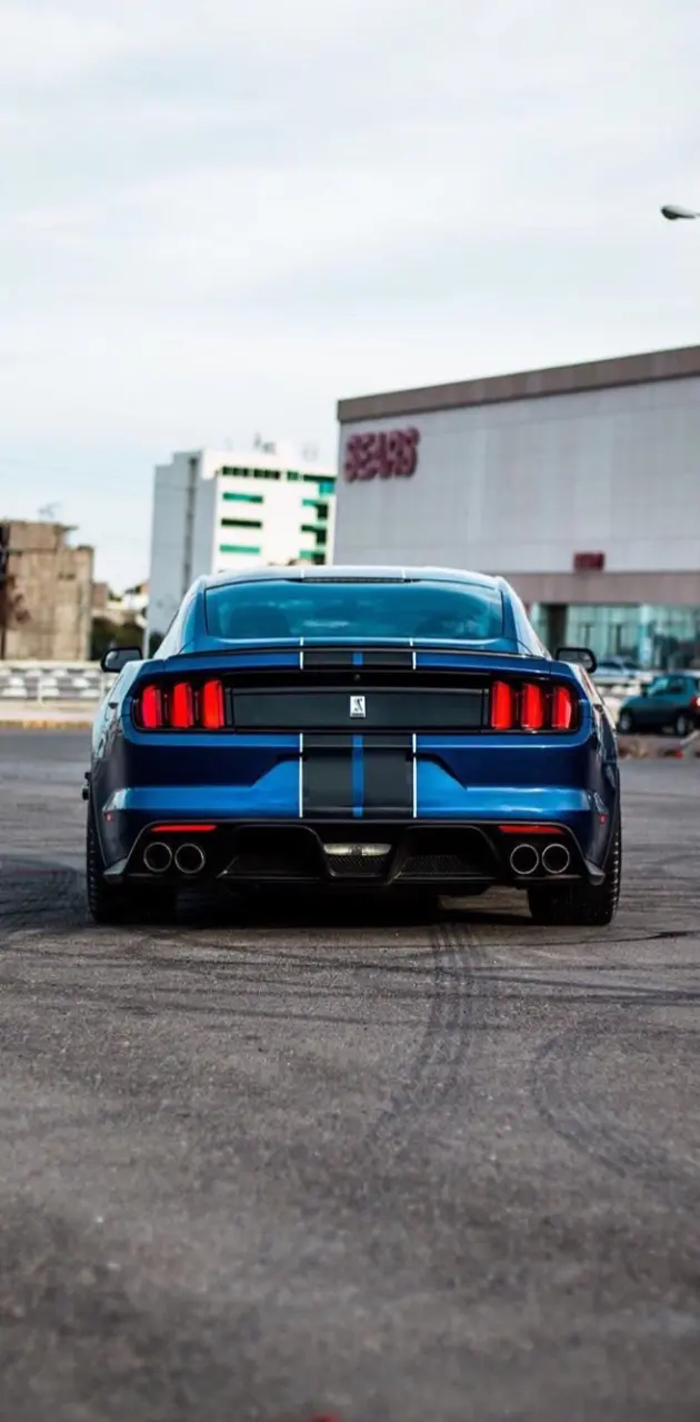 Mustang edition