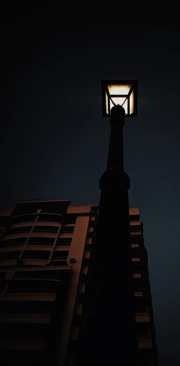 Night city light 