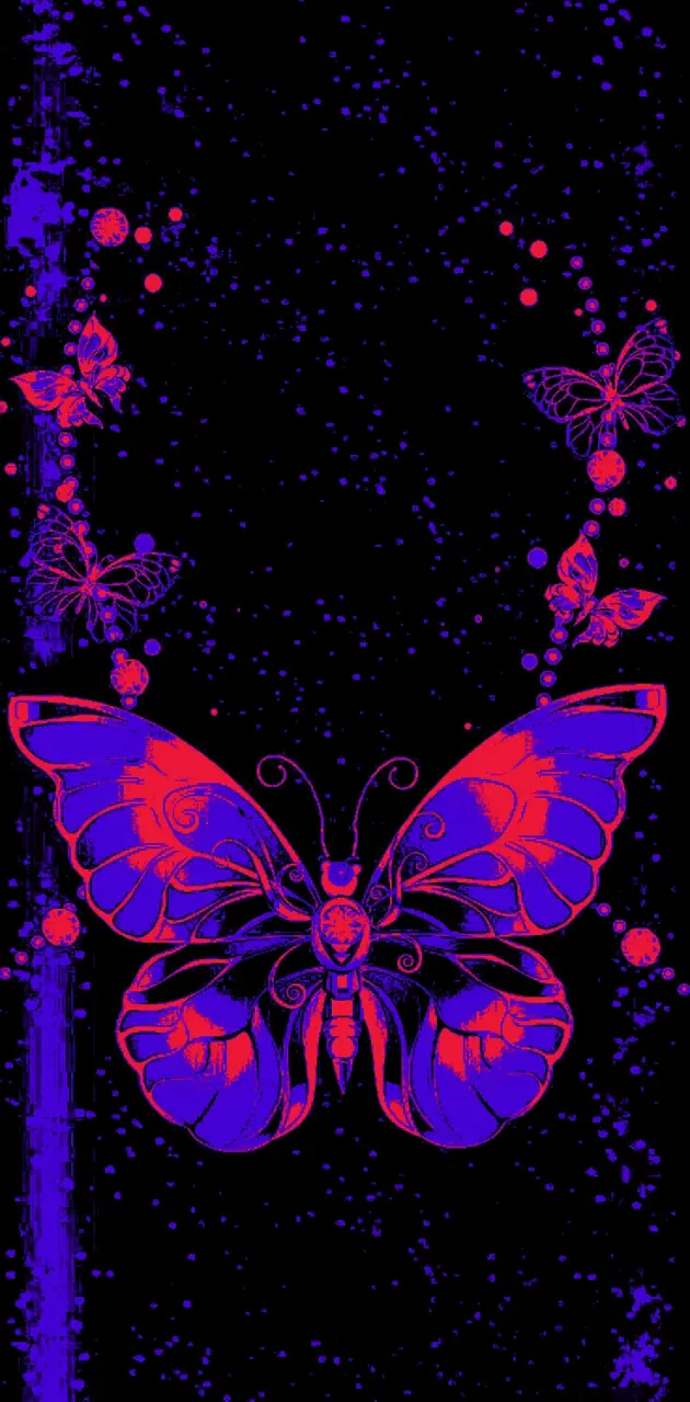 Starry Butterfly