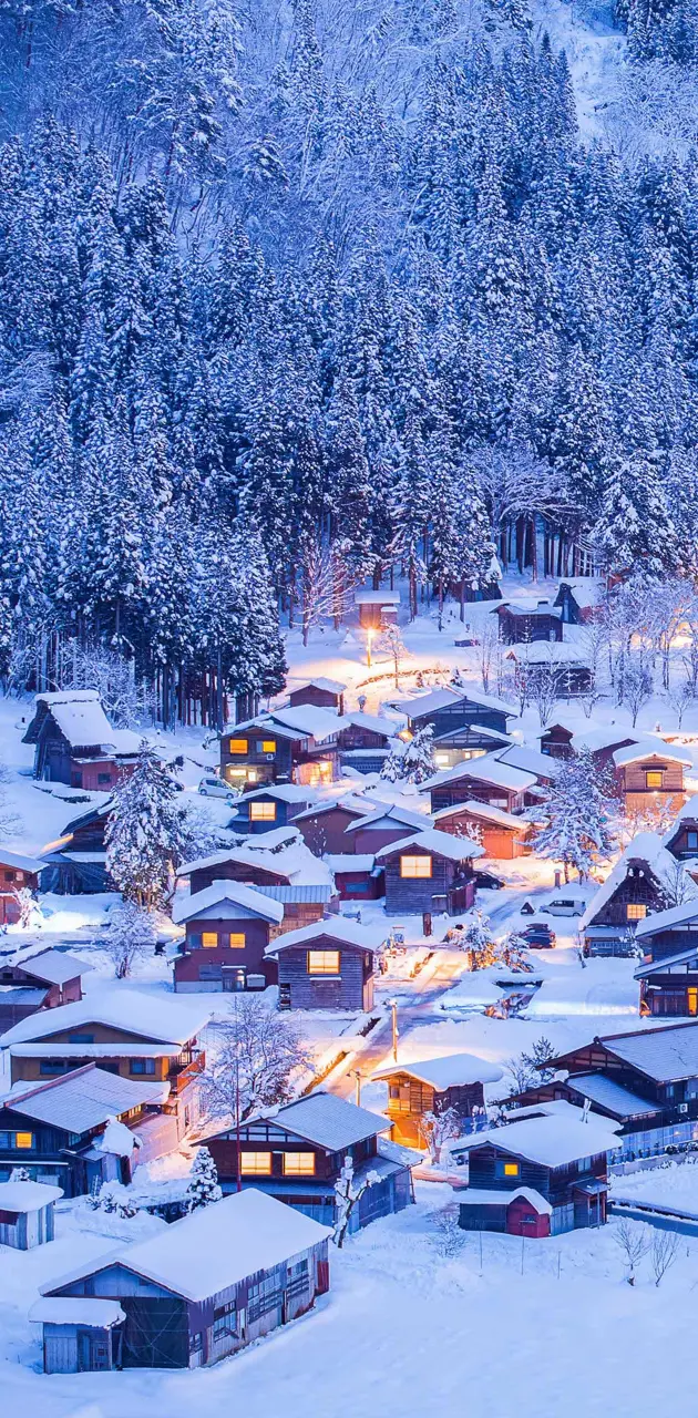Houses in Winter