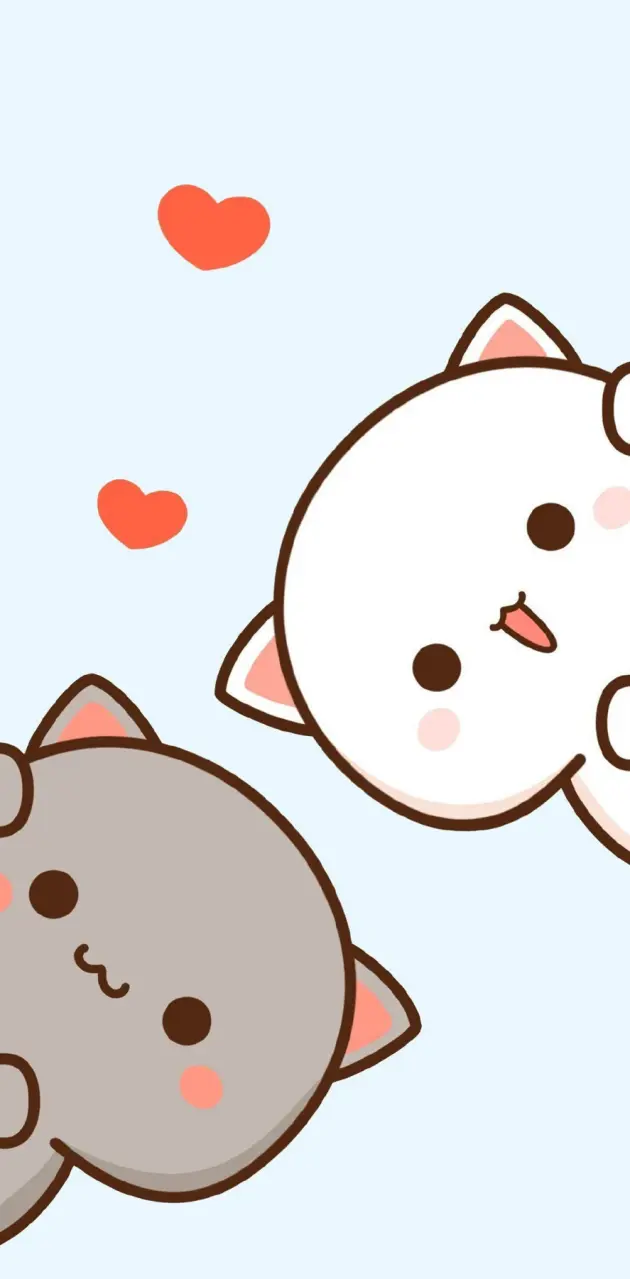cute anime cat wallpaper