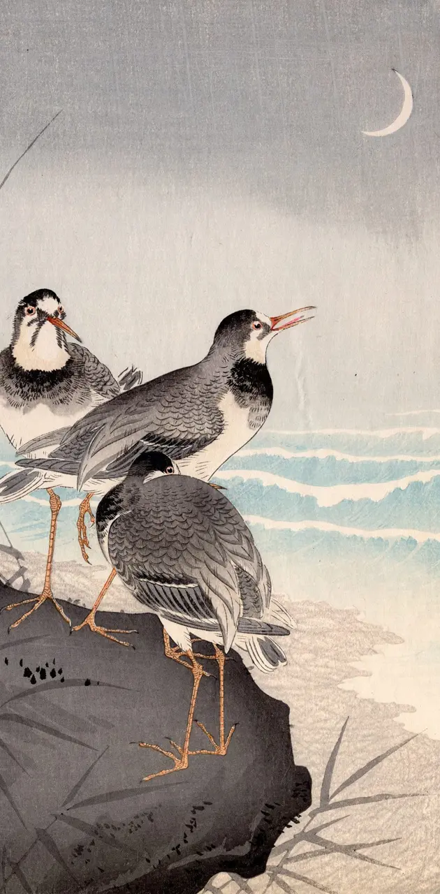 Japanese art birds