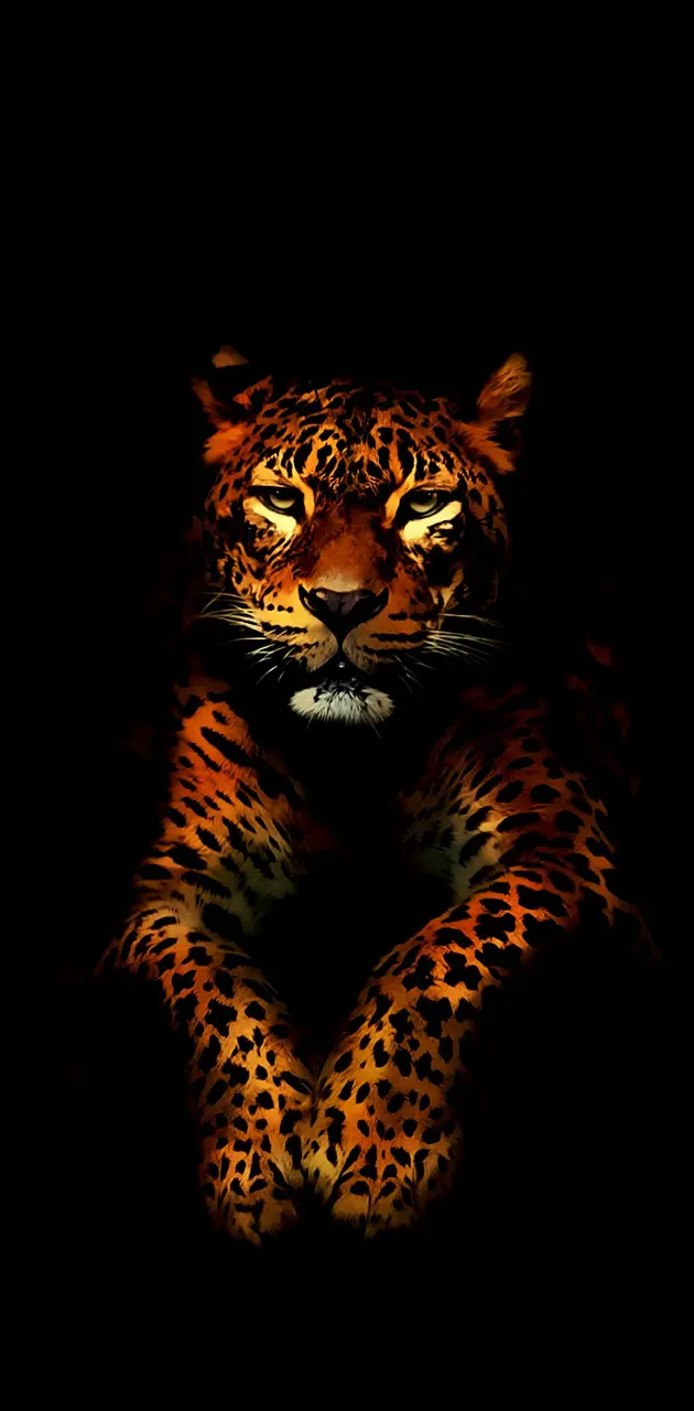 Tiger Amoled Wallpaper