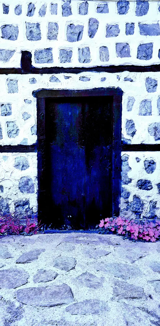 Blue small door