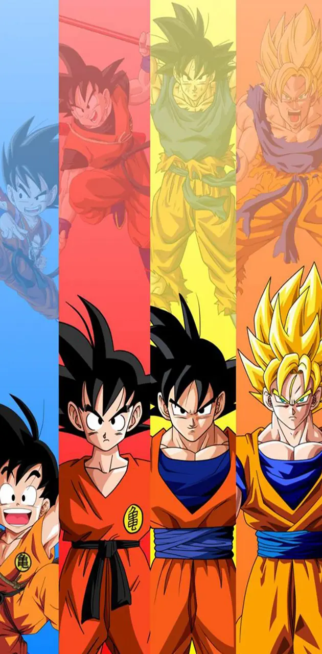 Fases de Goku 1