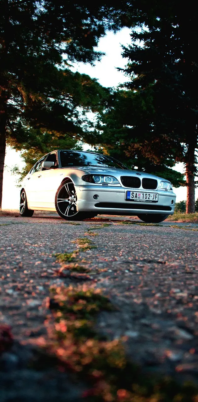 BMW E46 320D 
