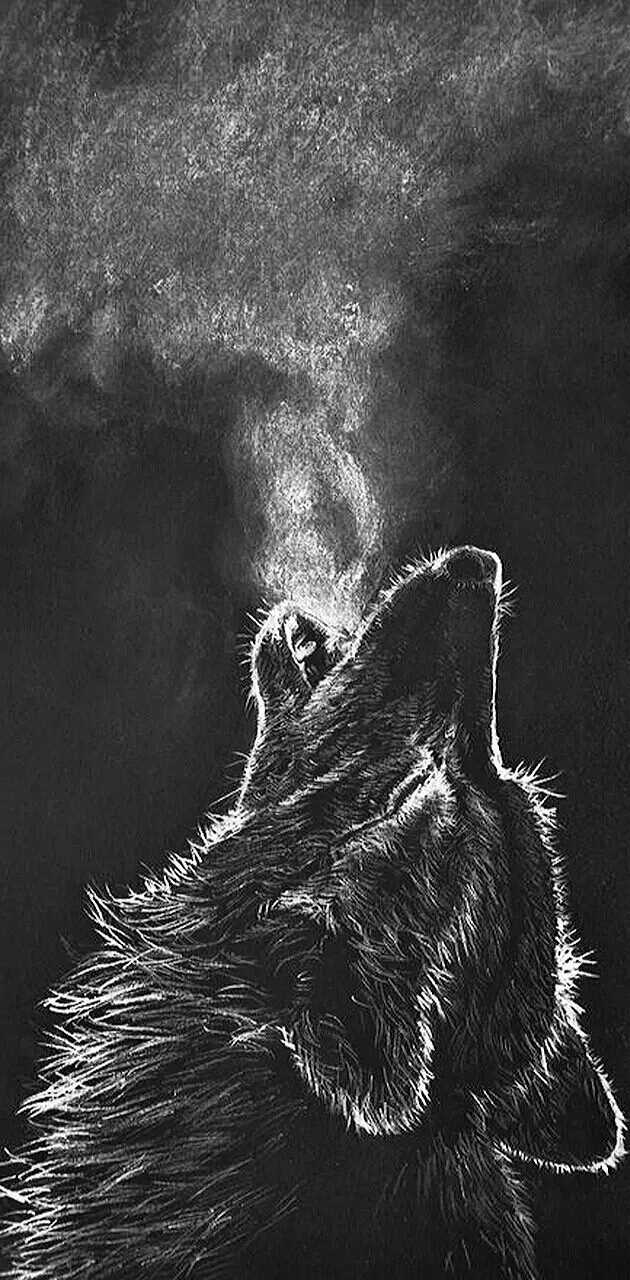 The cold wolf