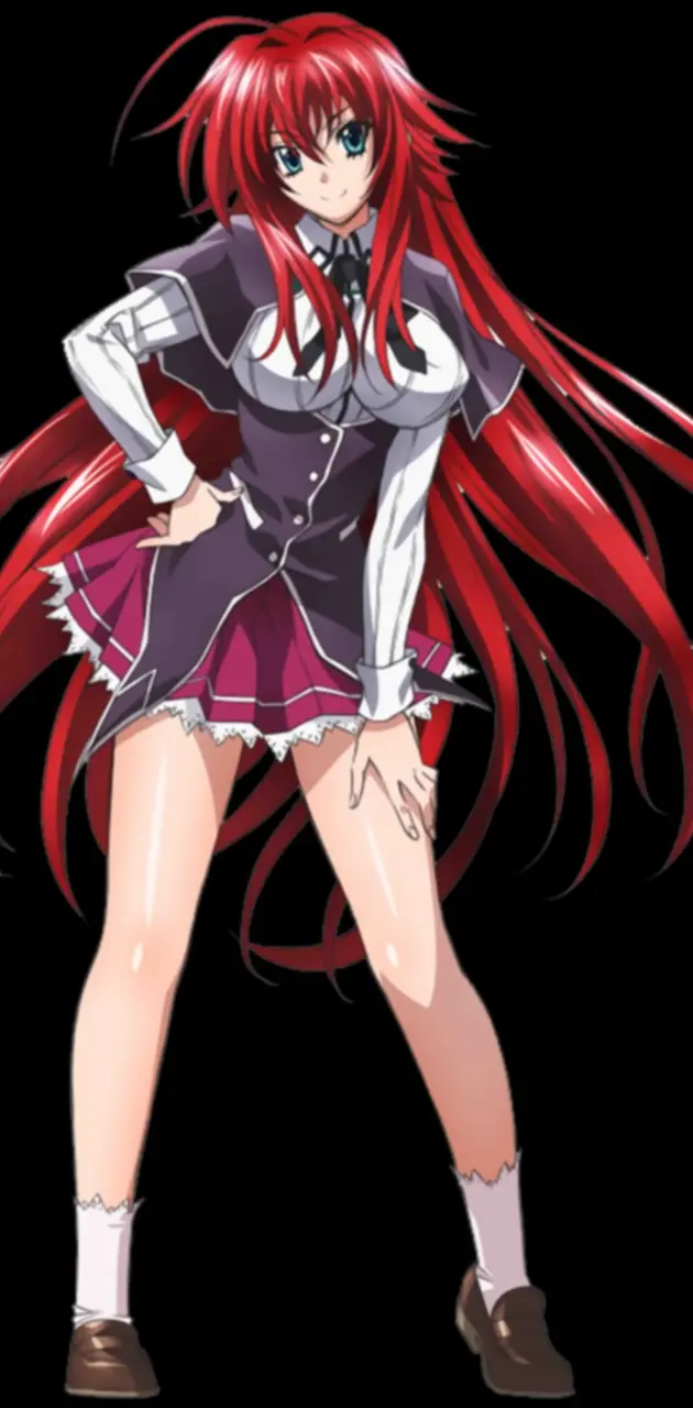 Download High School DxD Characters Wallpaper