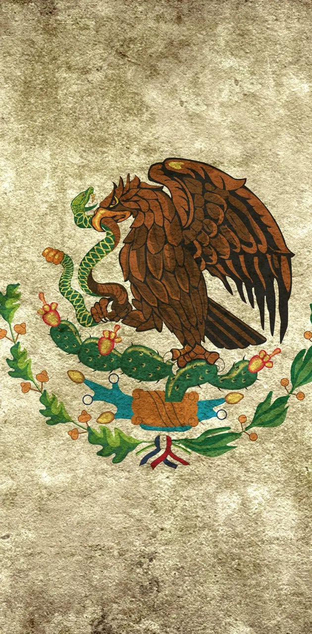 Grunge Mexico Flag