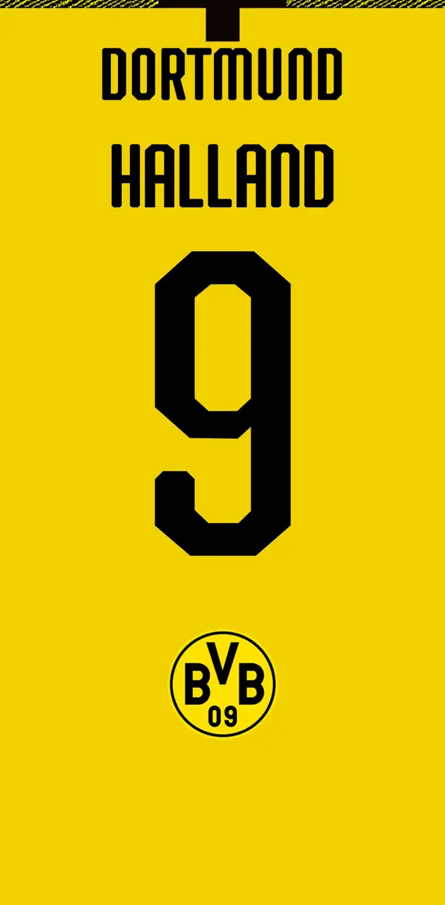 Halland Dortmund BVB