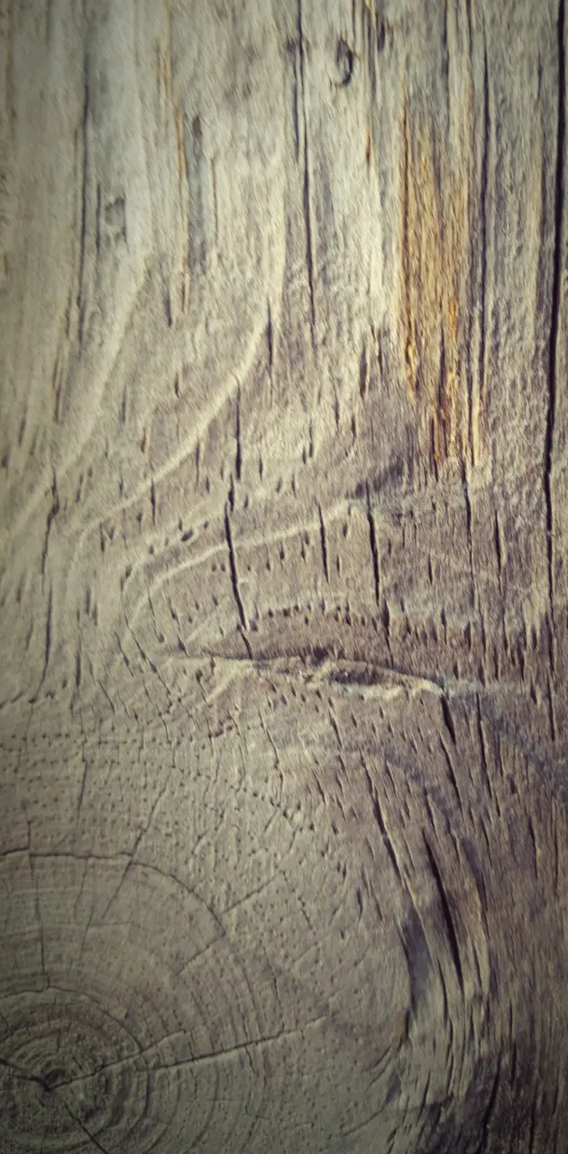 Clasic wood texture