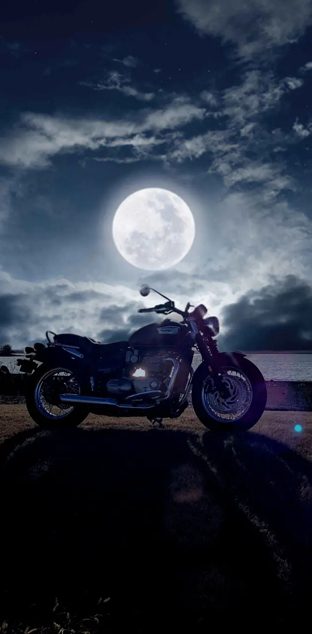 Moonlight Bike life