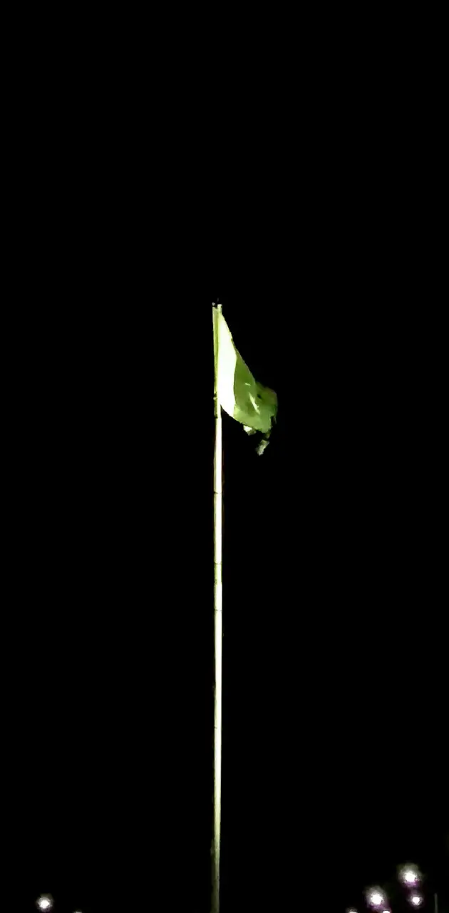 Pakistani flag
