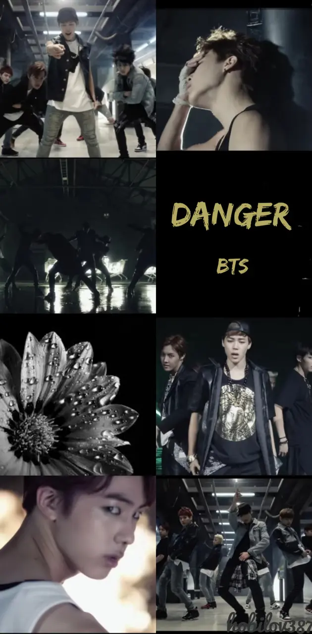 BTS Danger