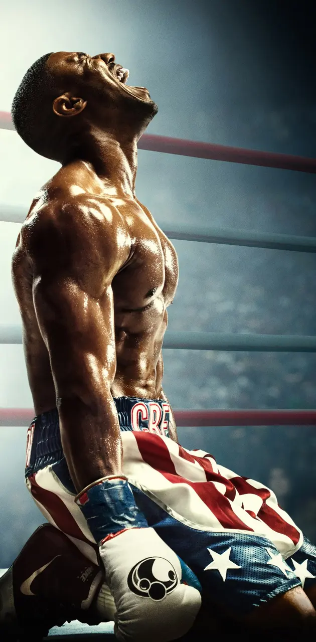 USA boxer