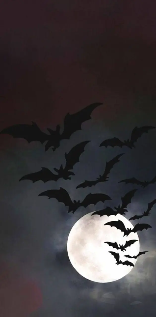 Halloween Dracula Bats