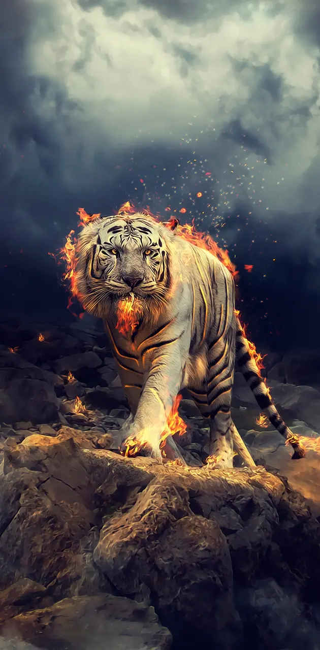 Burning tiger