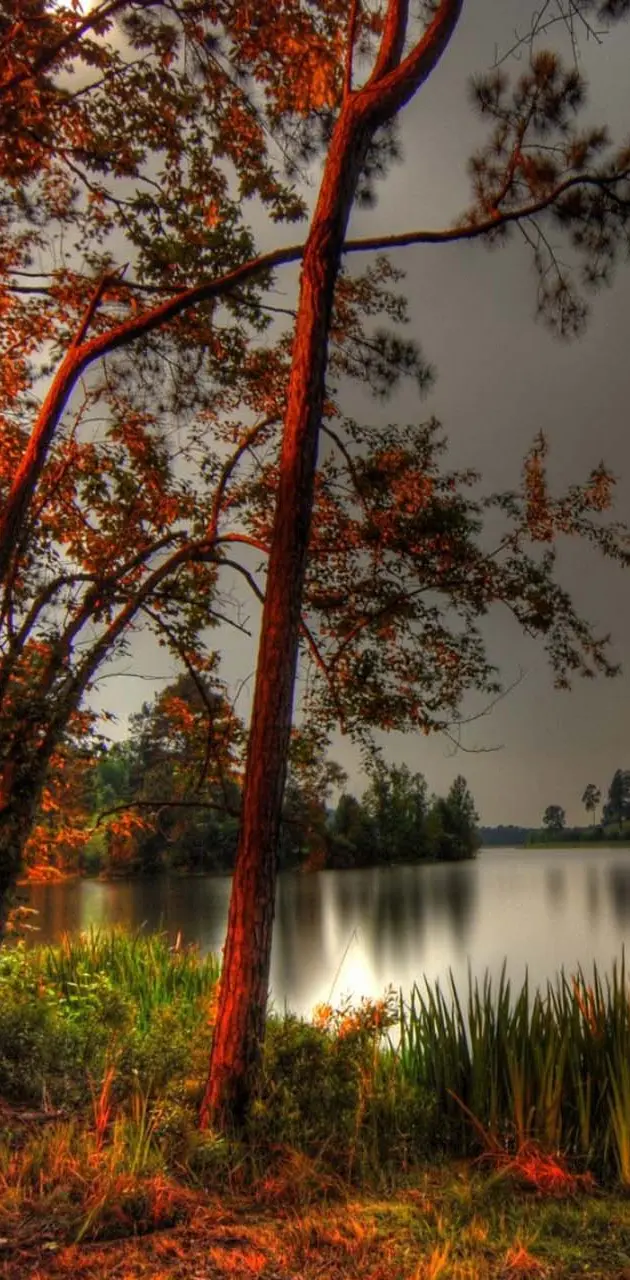 Autumn Lake view