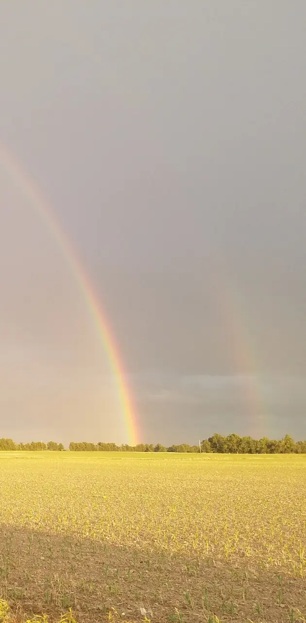 Double rainbow1