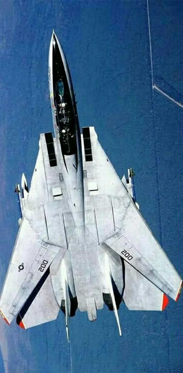 Grumman F-14 tomcat