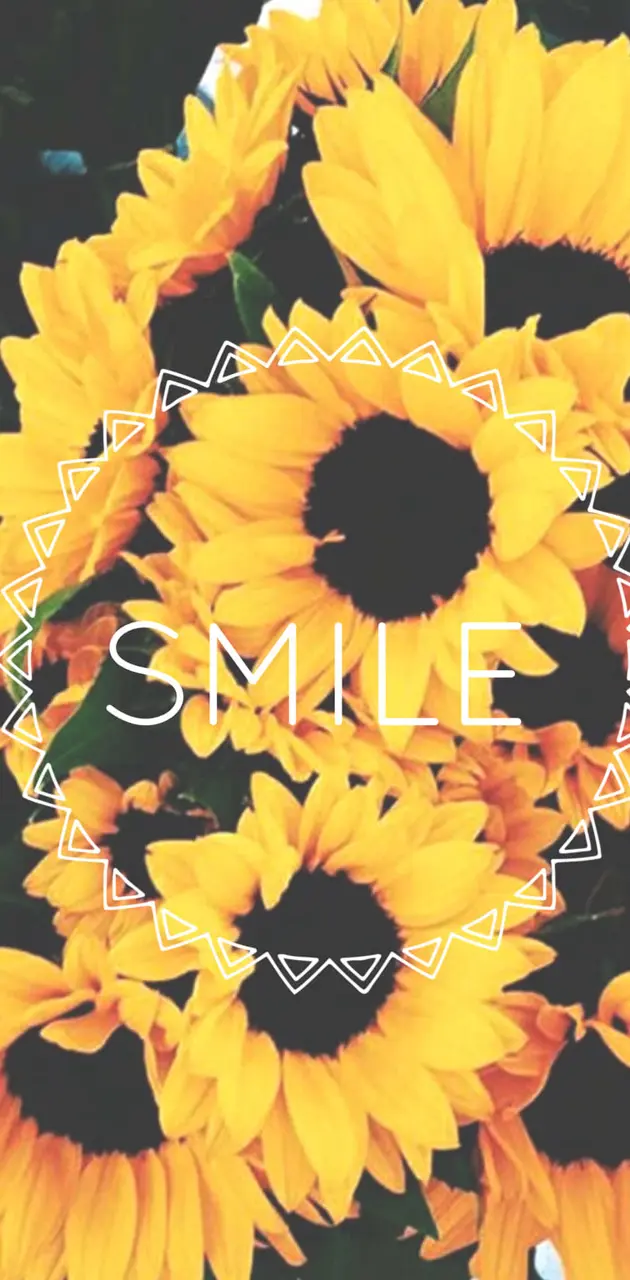 Smile sunflowers 