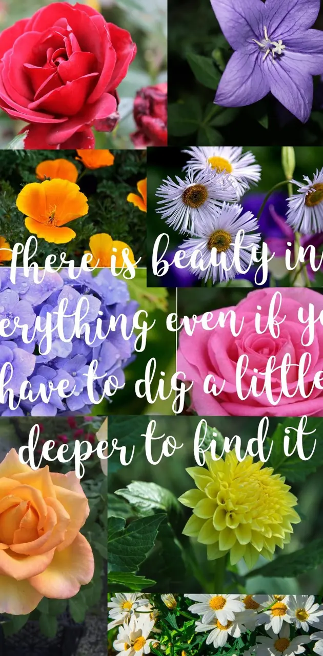 Quote about beauty 