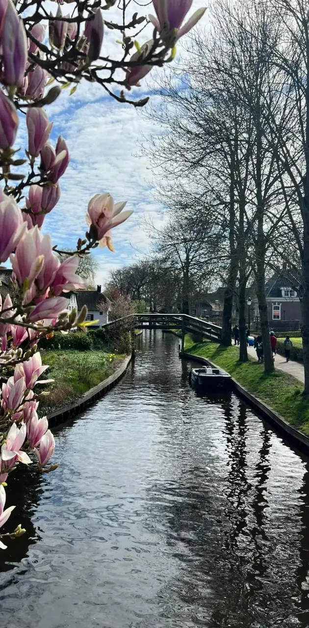 Beautiful Netherlands 