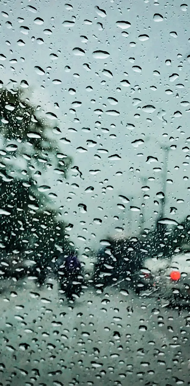 Rain car view 