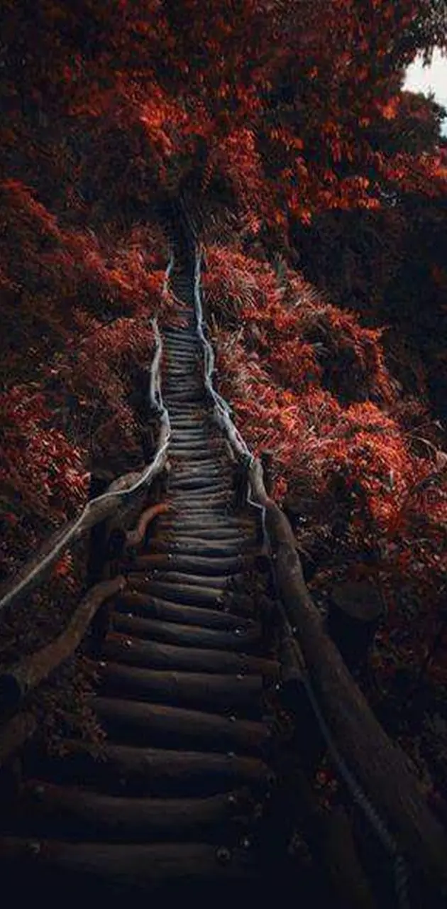 Red Leaf Staircase