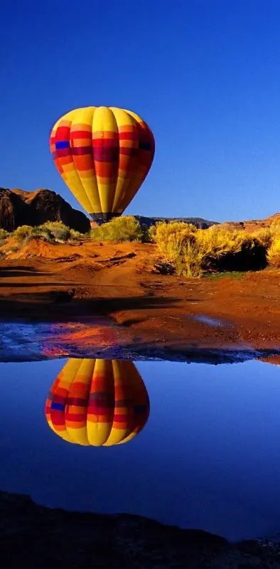 Balloon Reflection