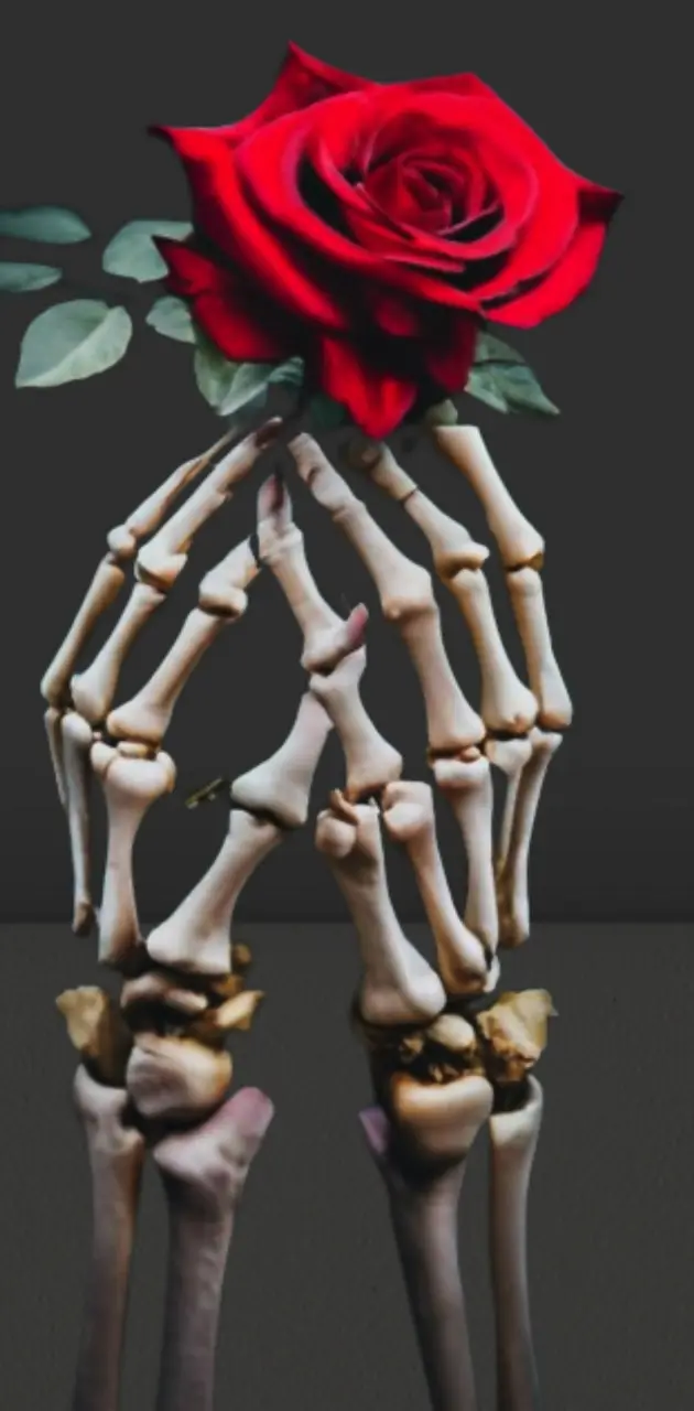 Skeleton Hands Cover