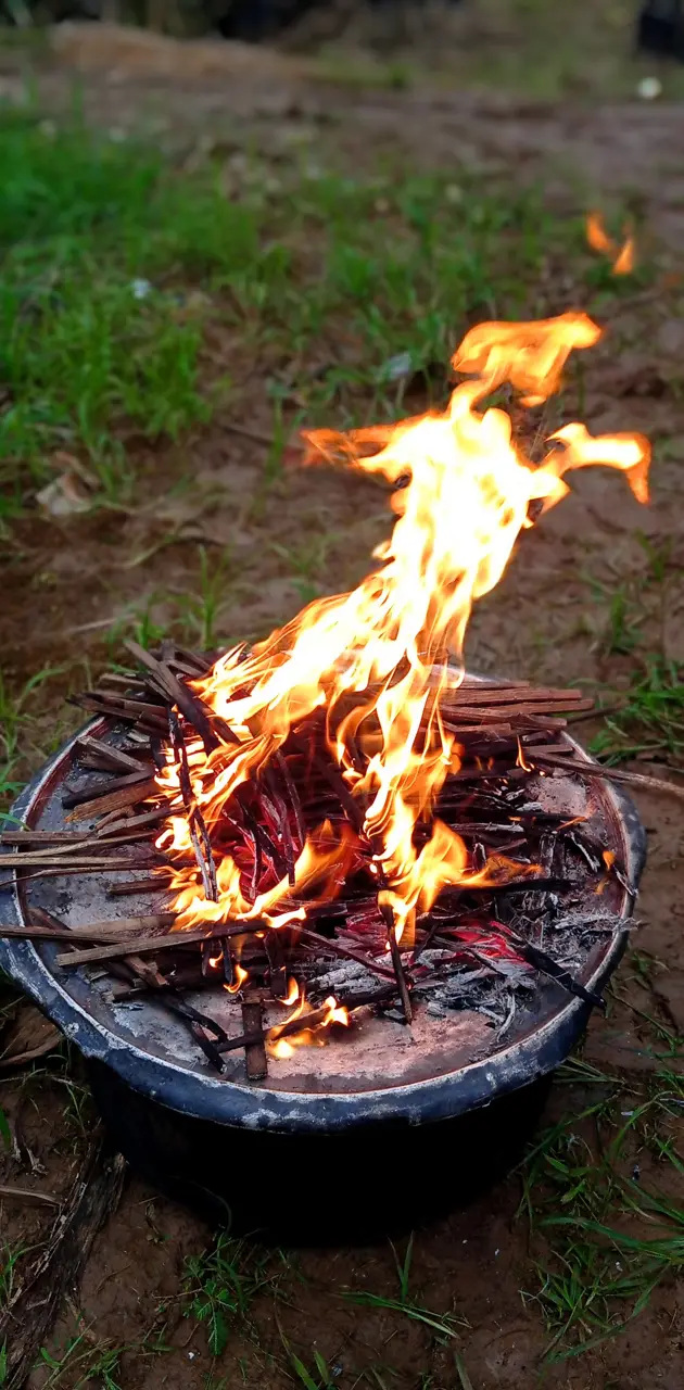 Dum Biryani flames
