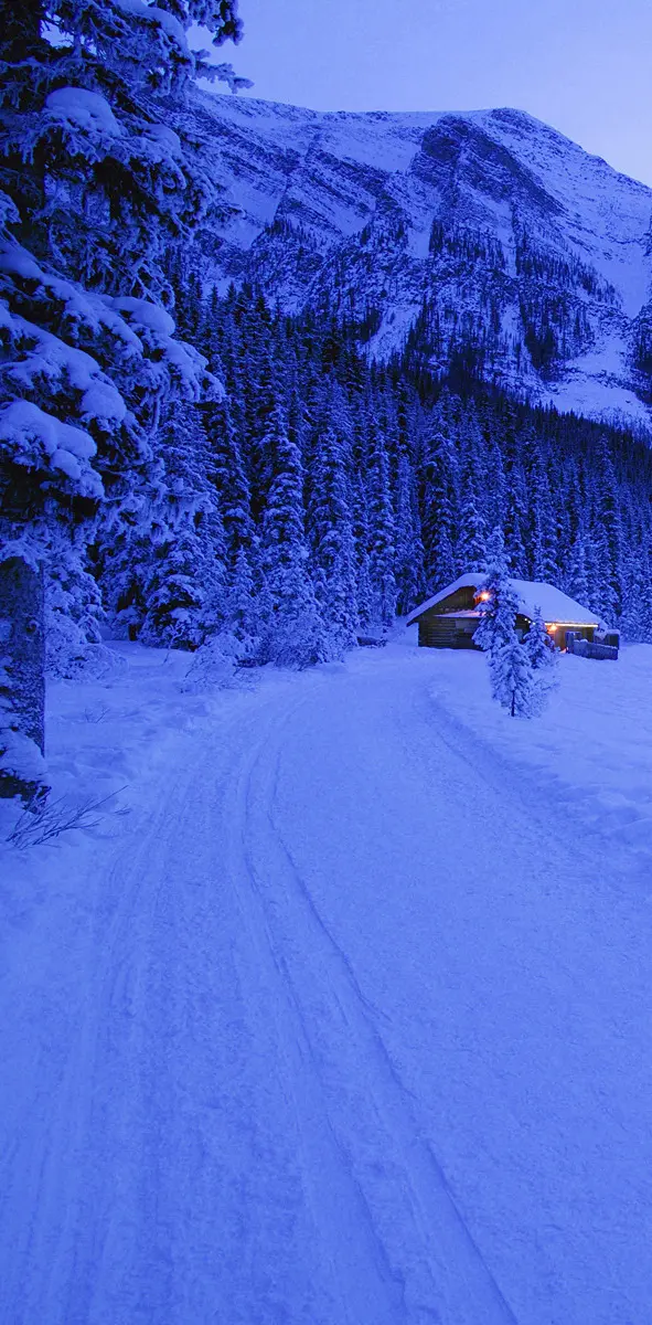 Cabin in a Winter Wo