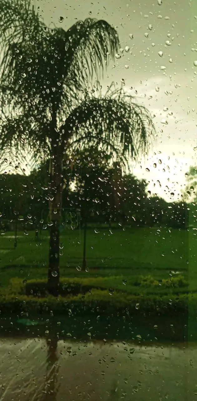 Nature Raining 