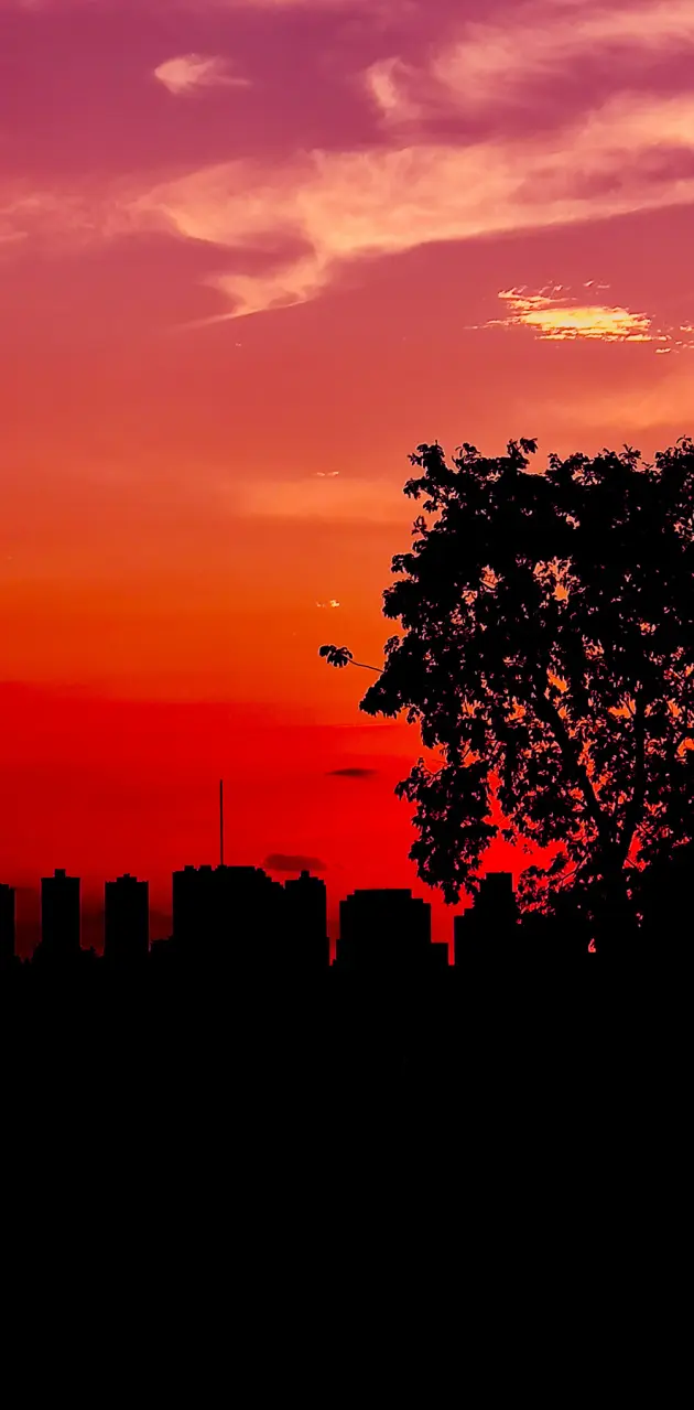 Red sunset sky city 