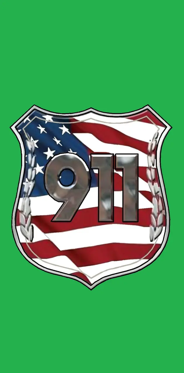 911 USA Green