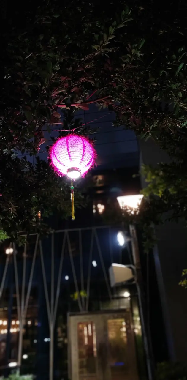Chinese Night lamp