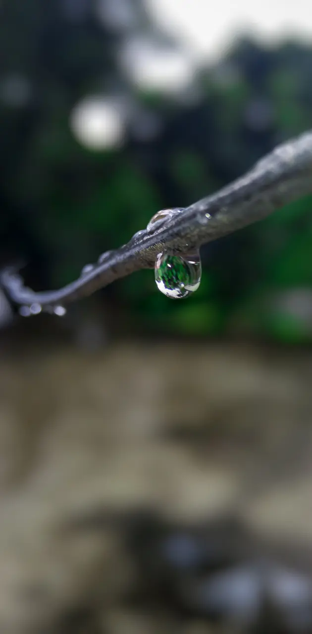 One drop of water