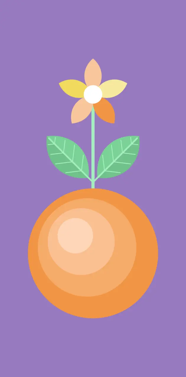 Orange fruit with flower and leaves