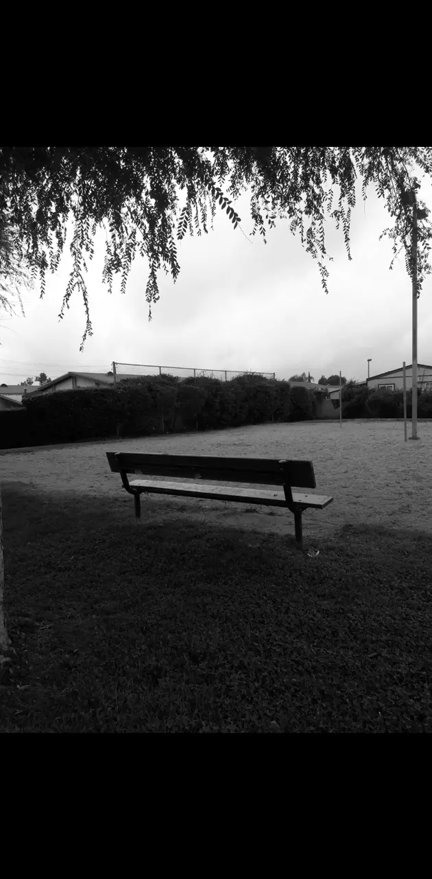 Lonely bench