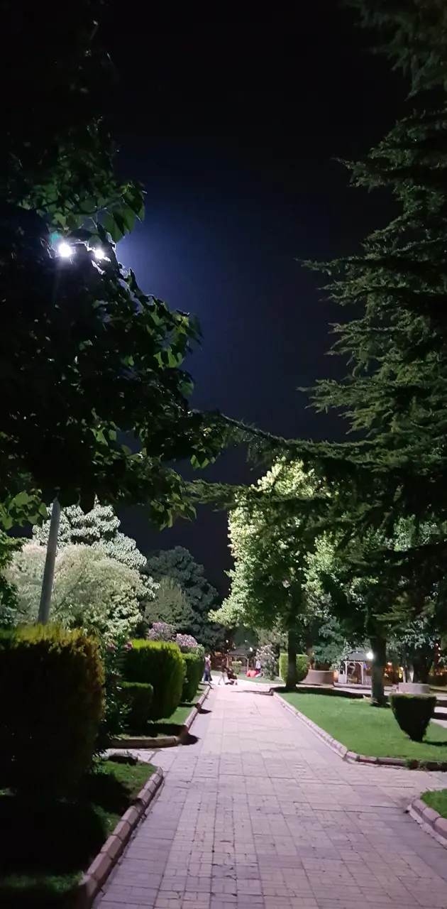 Park in night