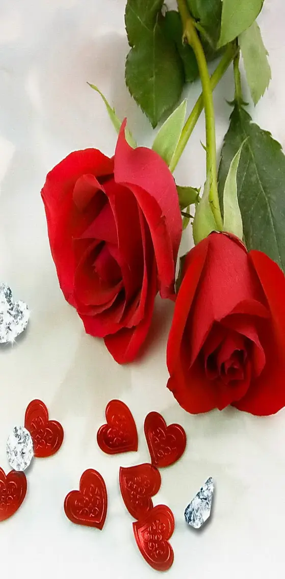 Roses And Diamonds