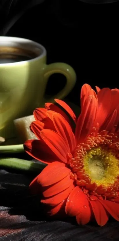 Caffe And Flower