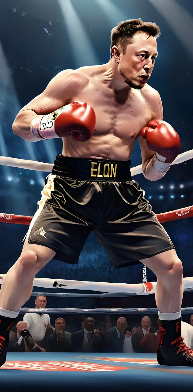 Elon musk boxing