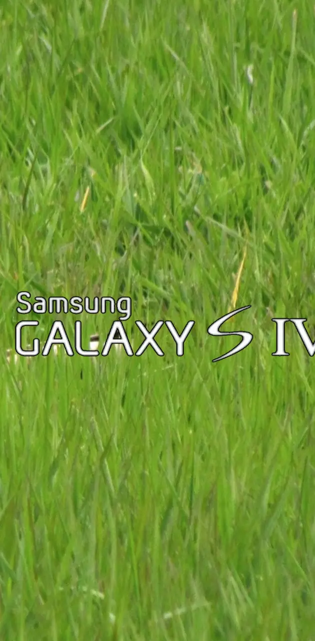 Samsung Galaxy S4d