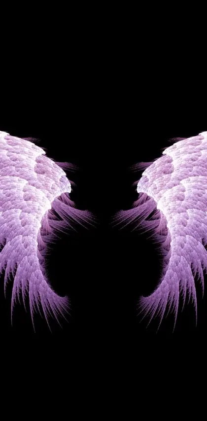 Pretty Angel Wings