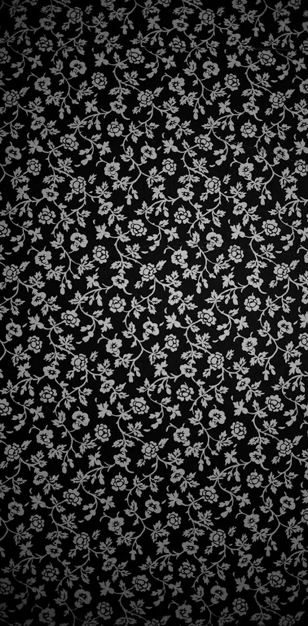 Black Wallflowers
