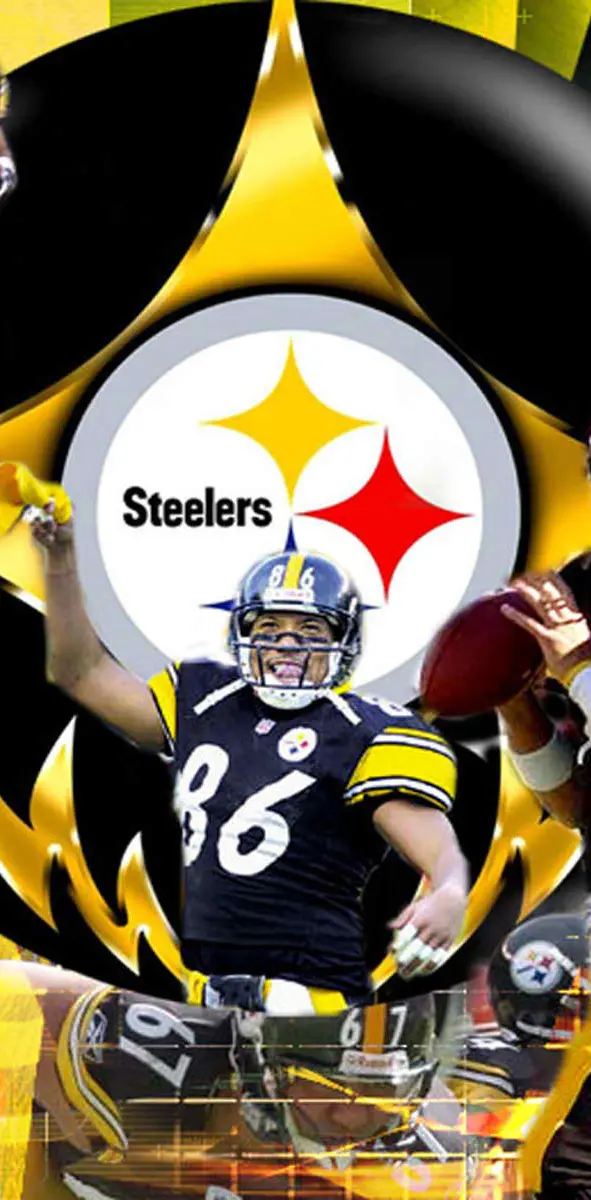 Steelers Action