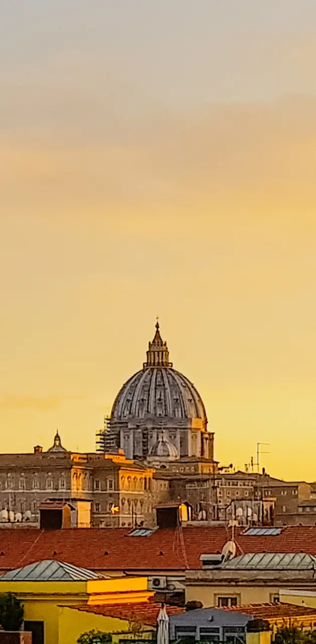 Vatican evening
